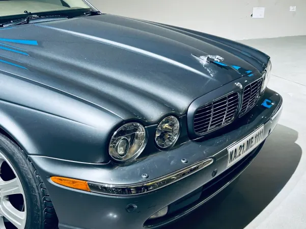 Casino Win Paradise Android/iOS Forrit